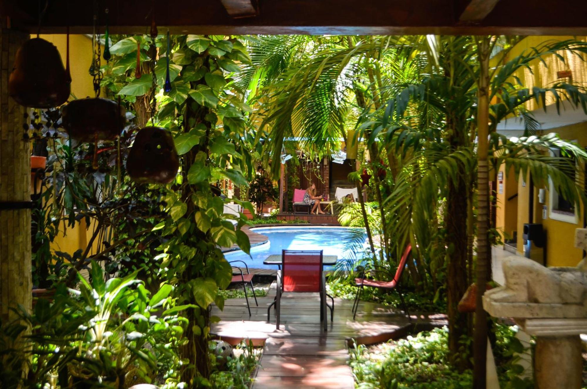 Hotel Las Golondrinas Playa del Carmen Esterno foto
